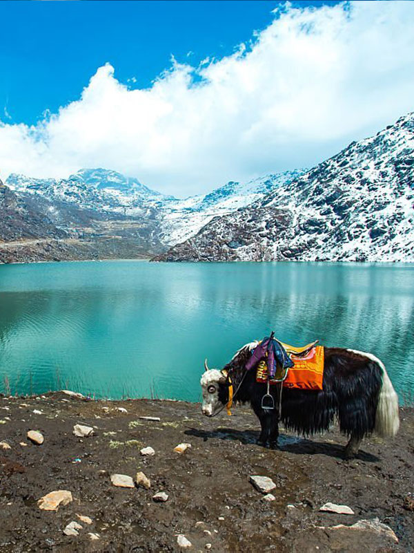 image-of-sikkim-mayuk-holidays-siliguri-north-bengal