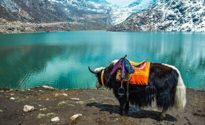 changu-lake-sikkim