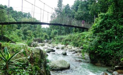 jhalong-north-bengal-dooars-mayuk-holidays