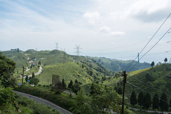 tingling-view-point-in-mirik-north-bengal-tour-from-mayuk-holidays